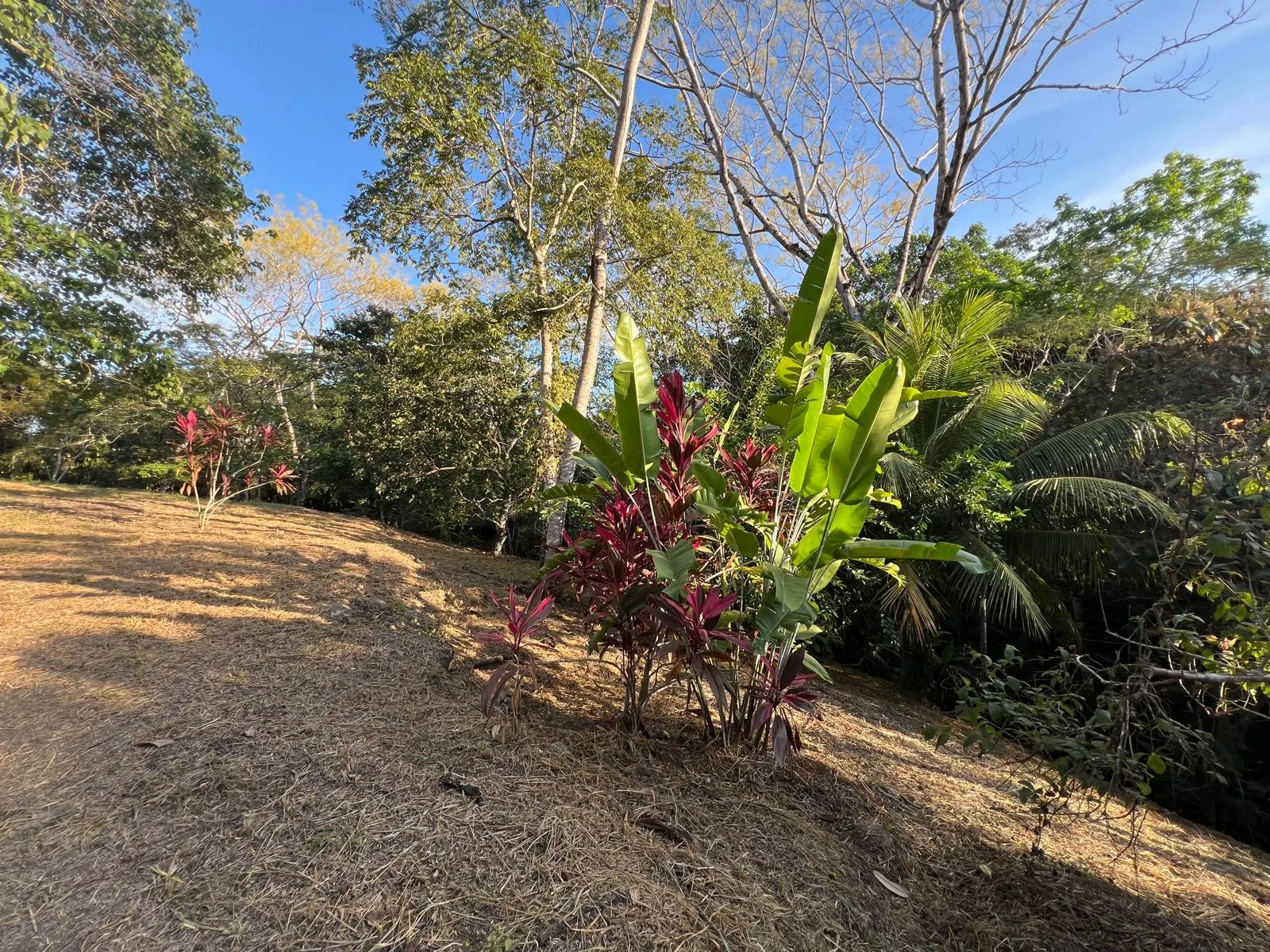 Build-Ready 2.94-Acre Lot with Water Meter in Las Delicias photo 6