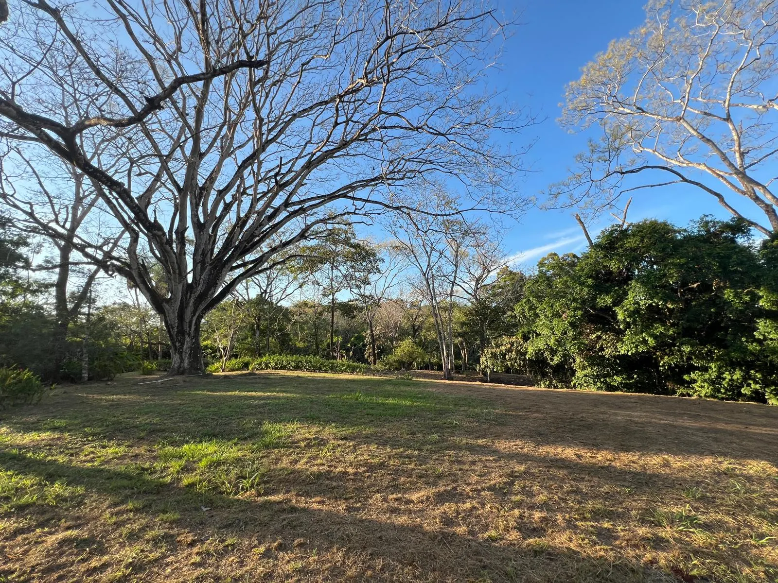 Build-Ready 2.94-Acre Lot with Water Meter in Las Delicias photo 7