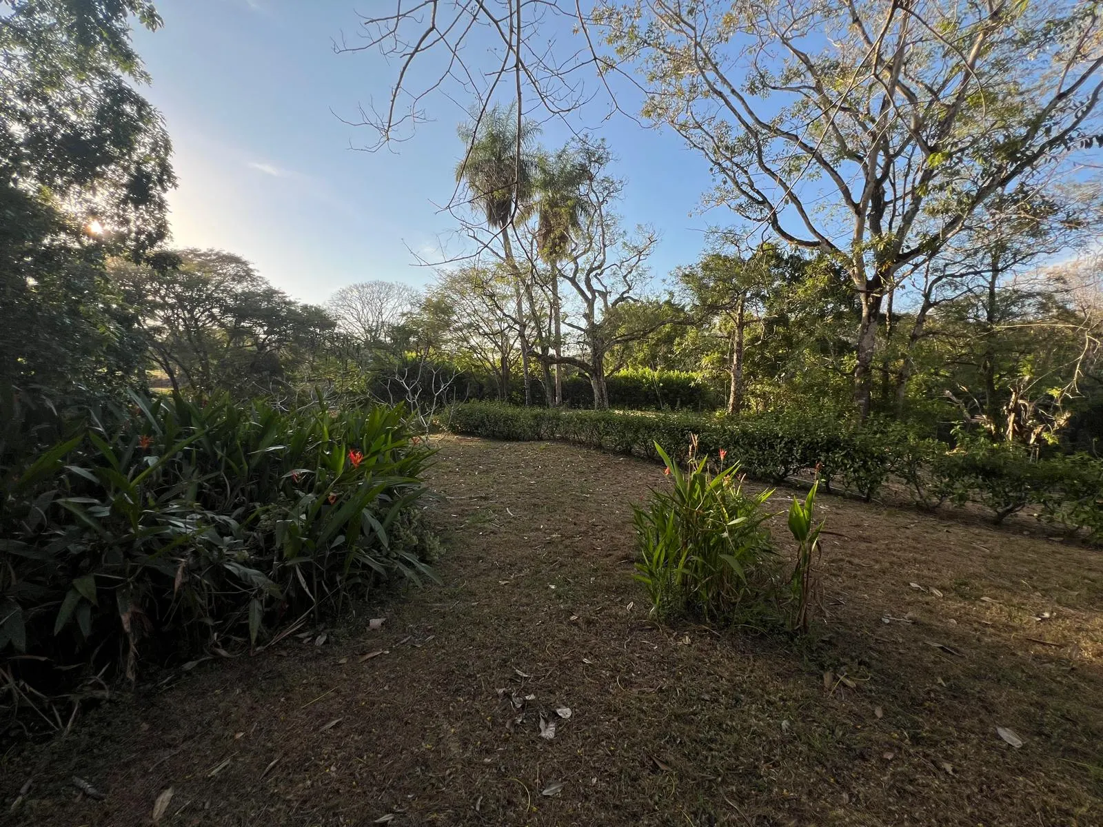 Build-Ready 2.94-Acre Lot with Water Meter in Las Delicias photo 8