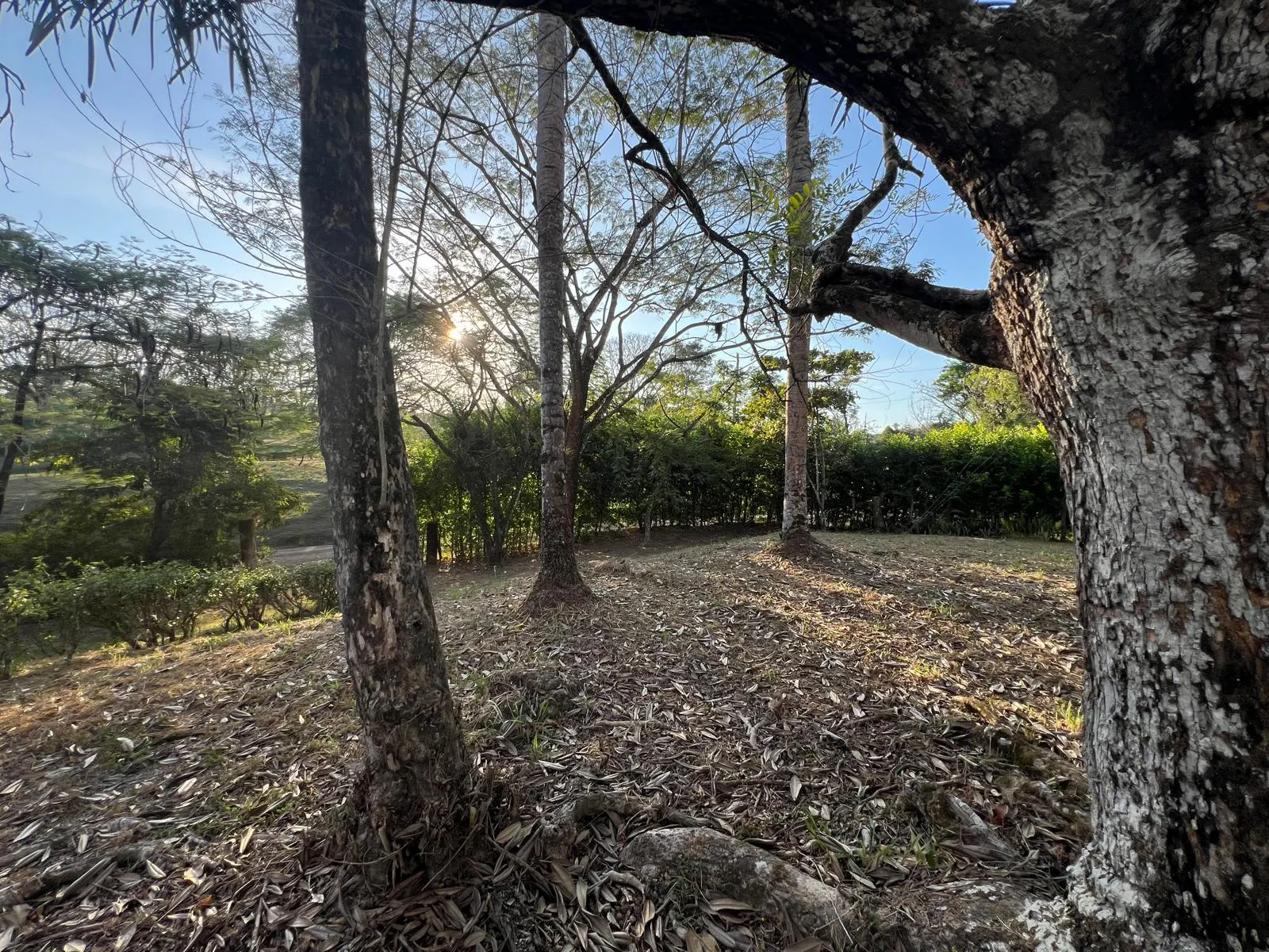 Build-Ready 2.94-Acre Lot with Water Meter in Las Delicias photo 9