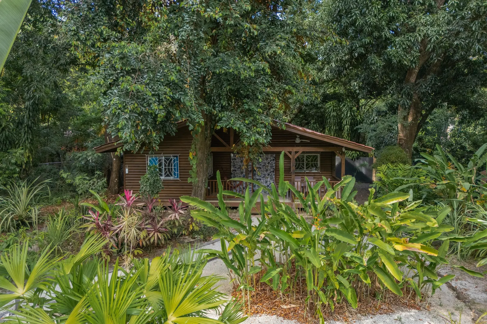 Five-Cabin Turnkey Retreat 200 m from the Los Cedros Surf Break photo 2