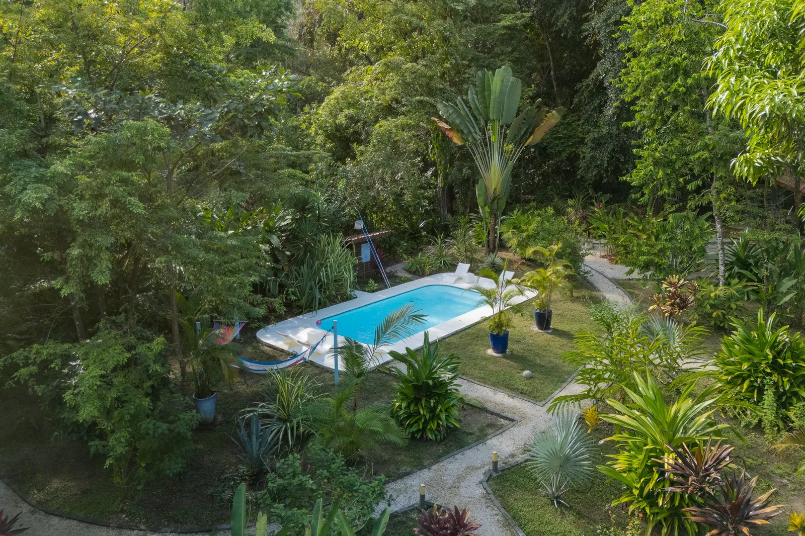 Five-Cabin Turnkey Retreat 200 m from the Los Cedros Surf Break photo 3