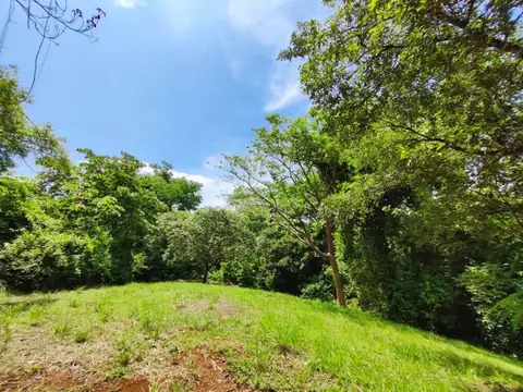 Flat Commercial Lot on the Montezuma-Cobano Road in Montezuma, Costa Rica