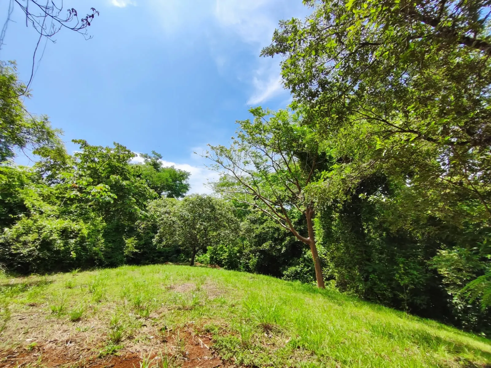 Flat Commercial Lot on the Montezuma-Cobano Road photo 1