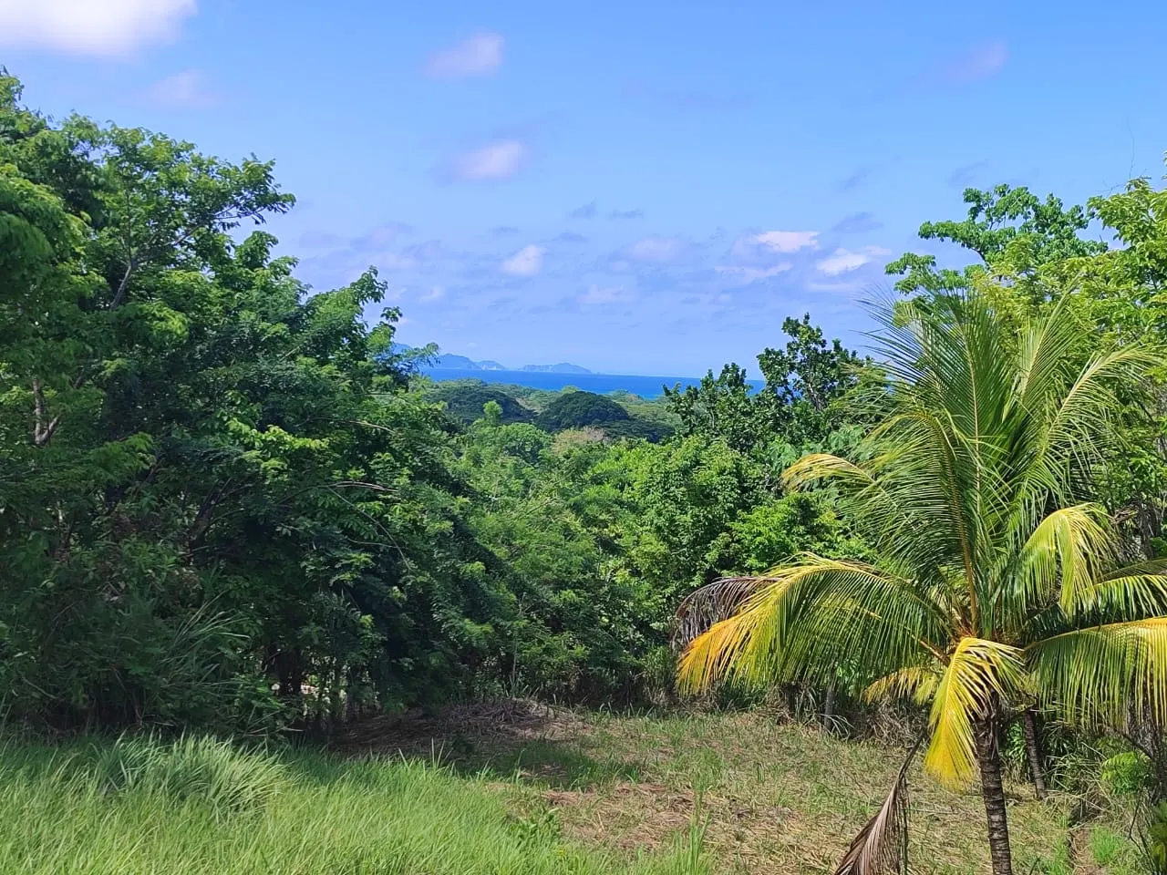 Flat Commercial Lot on the Montezuma-Cobano Road photo 10