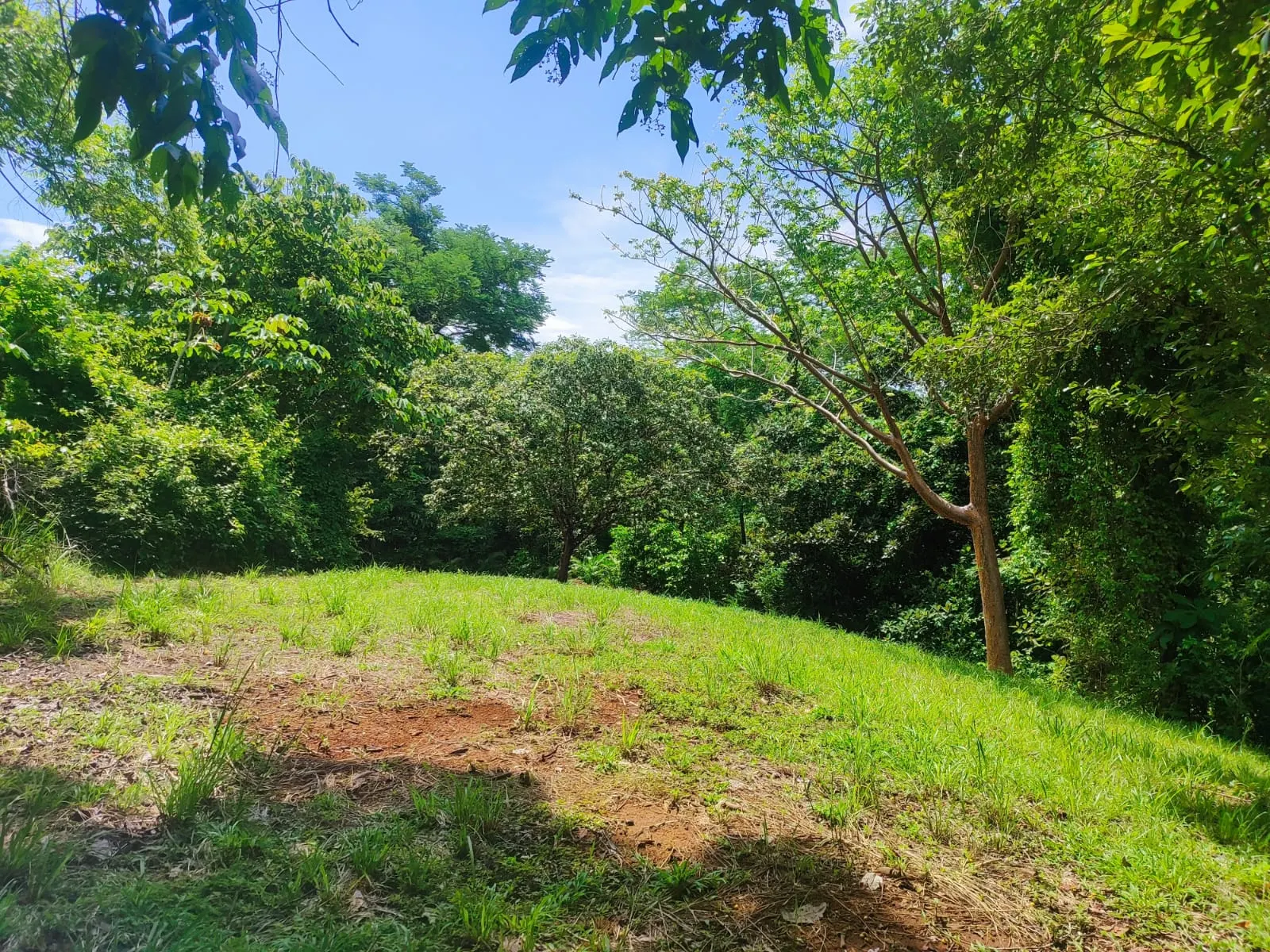Flat Commercial Lot on the Montezuma-Cobano Road photo 3