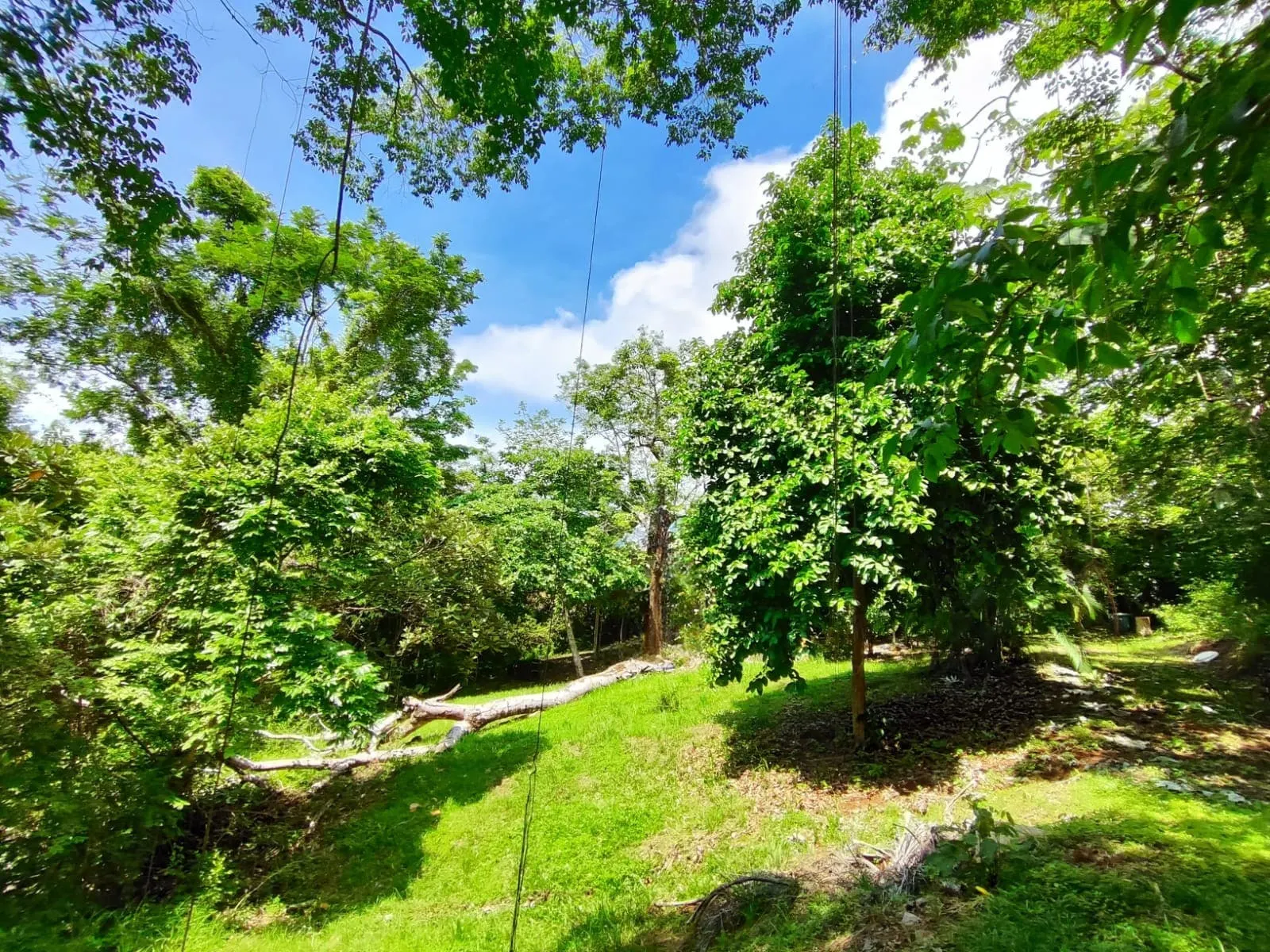 Flat Commercial Lot on the Montezuma-Cobano Road photo 4
