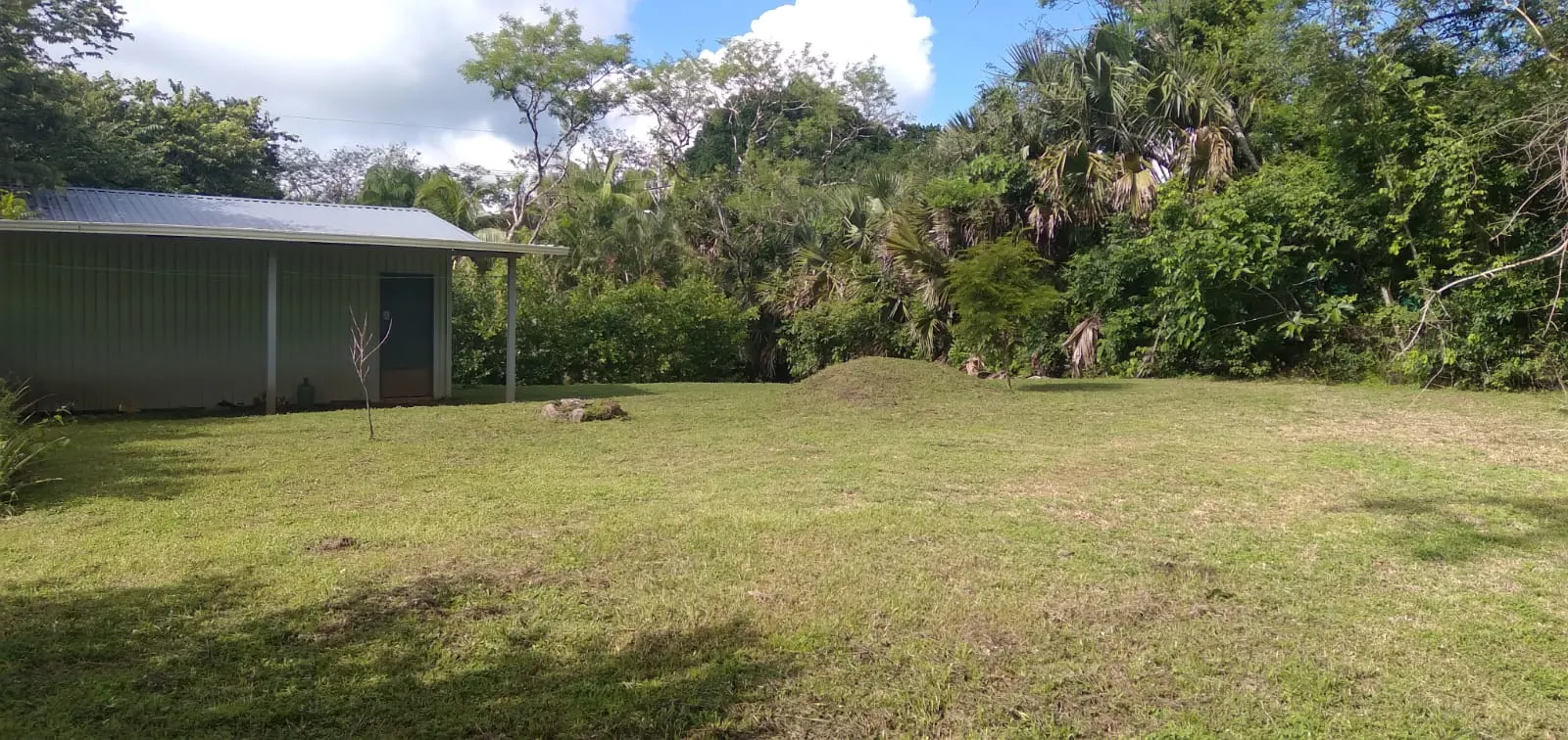 Flat 2,500 m2 Commercial Lot with River Access in Las Delicias photo 1