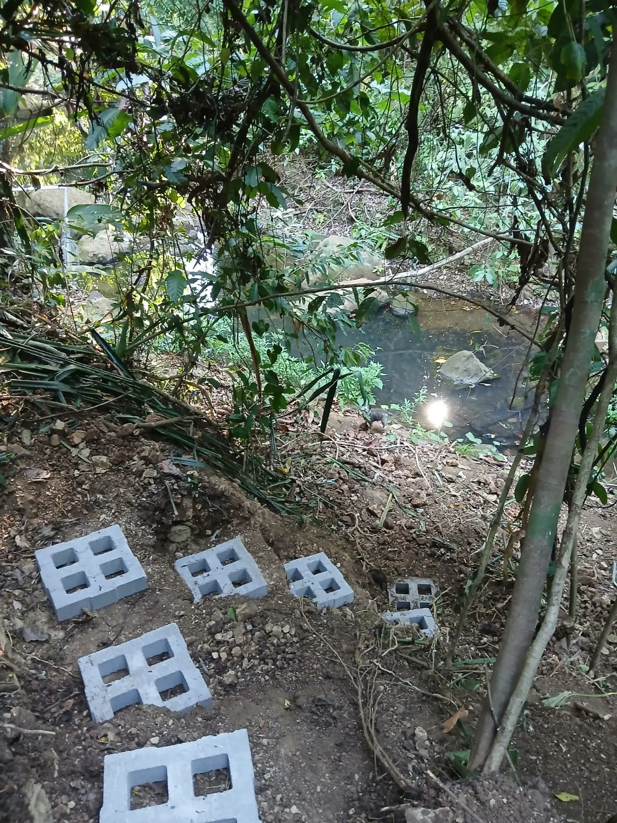 Flat 2,500 m2 Commercial Lot with River Access in Las Delicias photo 10