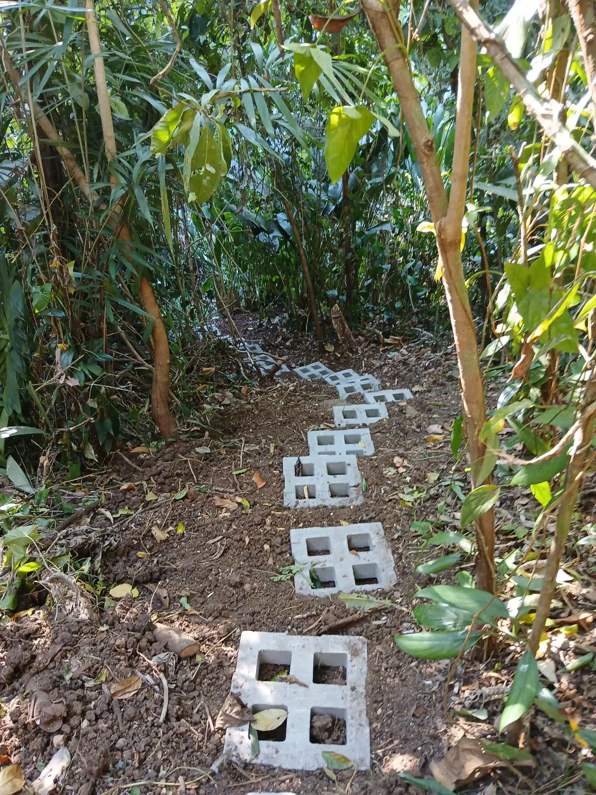 Flat 2,500 m2 Commercial Lot with River Access in Las Delicias photo 11