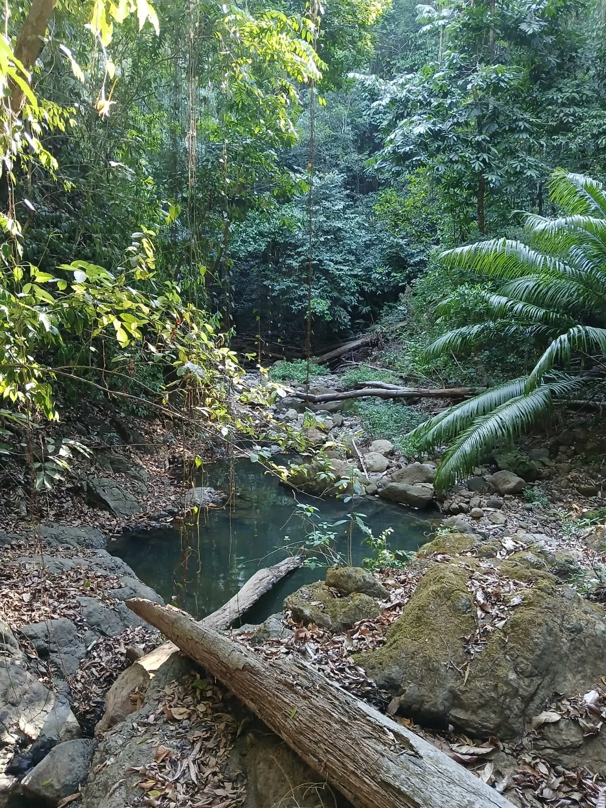 Flat 2,500 m2 Commercial Lot with River Access in Las Delicias photo 12
