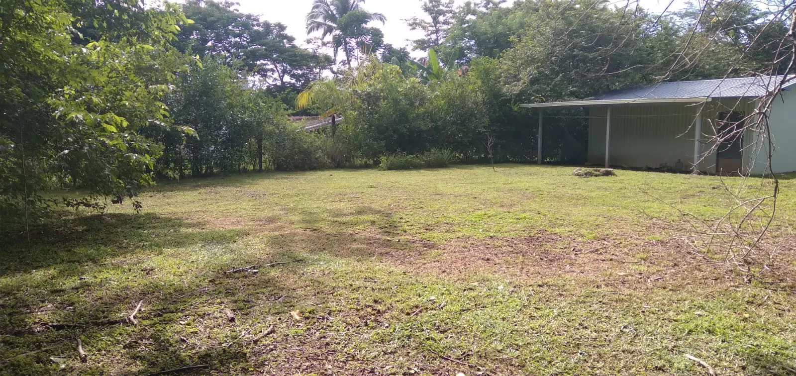 Flat 2,500 m2 Commercial Lot with River Access in Las Delicias photo 2