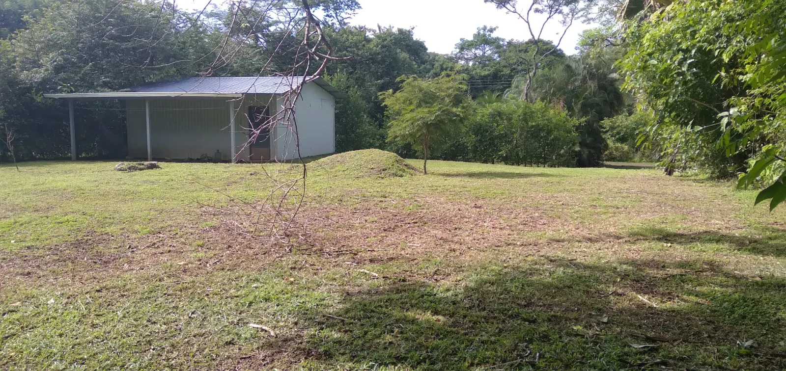Flat 2,500 m2 Commercial Lot with River Access in Las Delicias photo 3