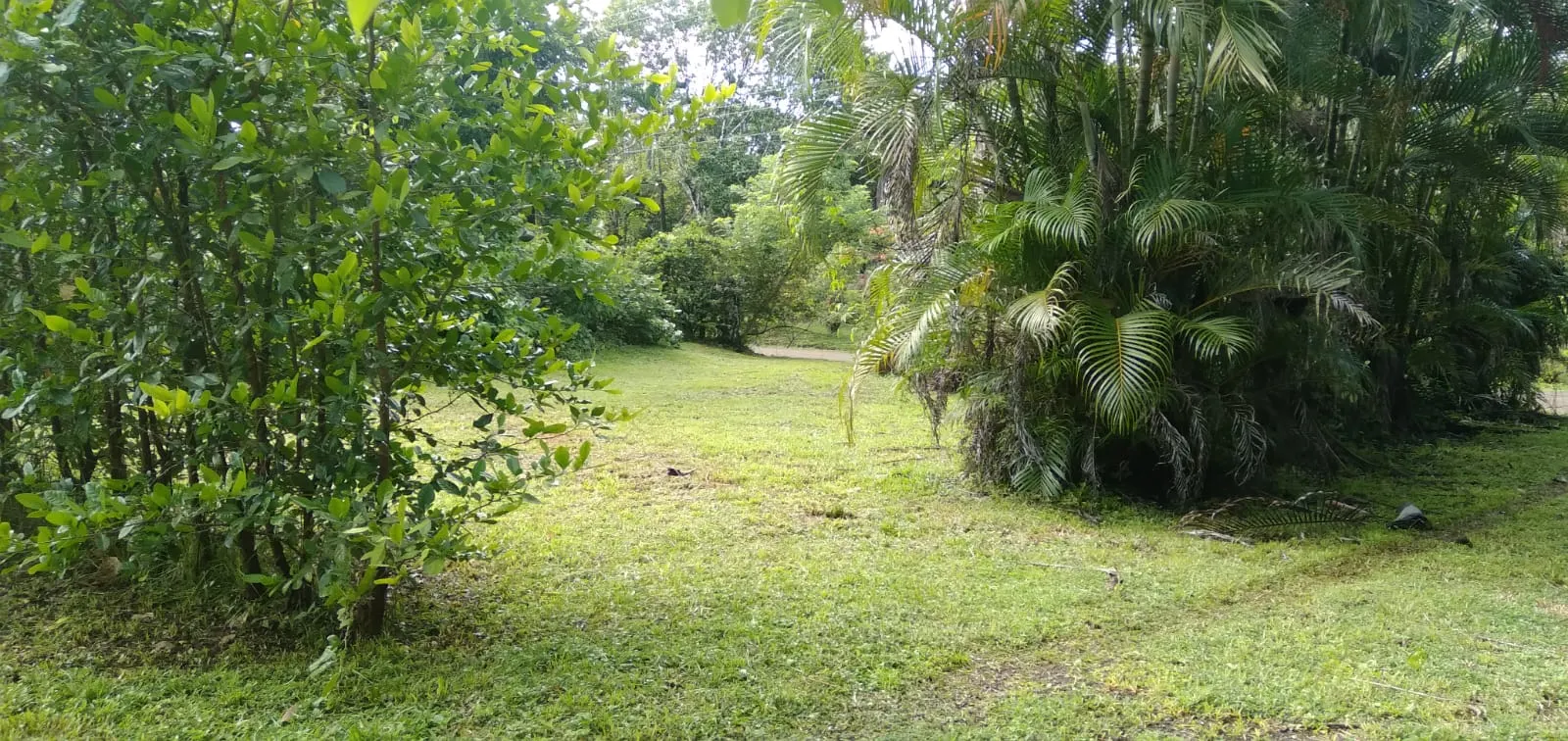 Flat 2,500 m2 Commercial Lot with River Access in Las Delicias photo 4