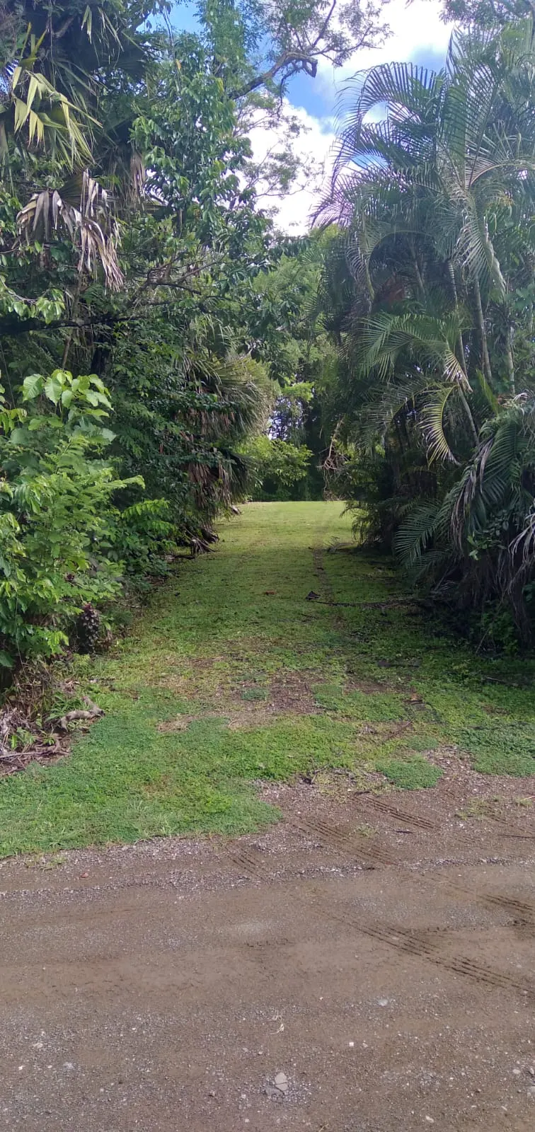 Flat 2,500 m2 Commercial Lot with River Access in Las Delicias photo 5