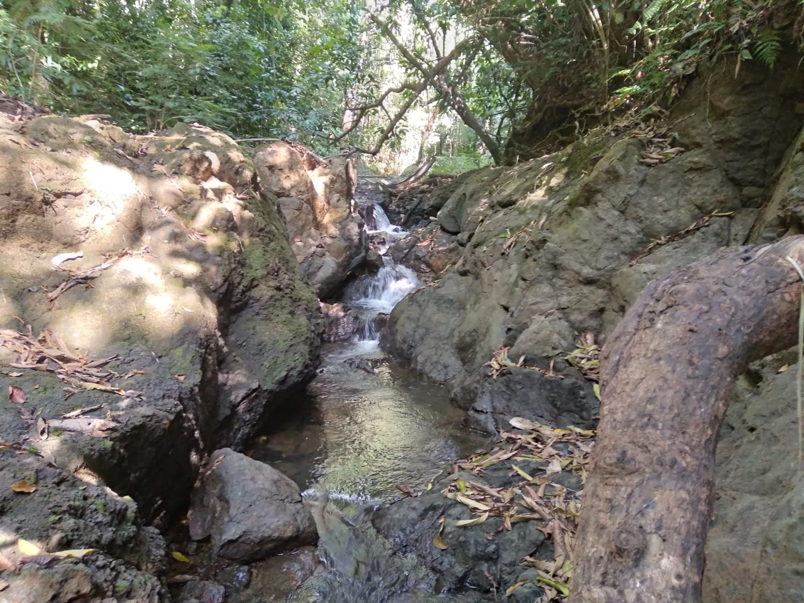 Flat 2,500 m2 Commercial Lot with River Access in Las Delicias photo 6