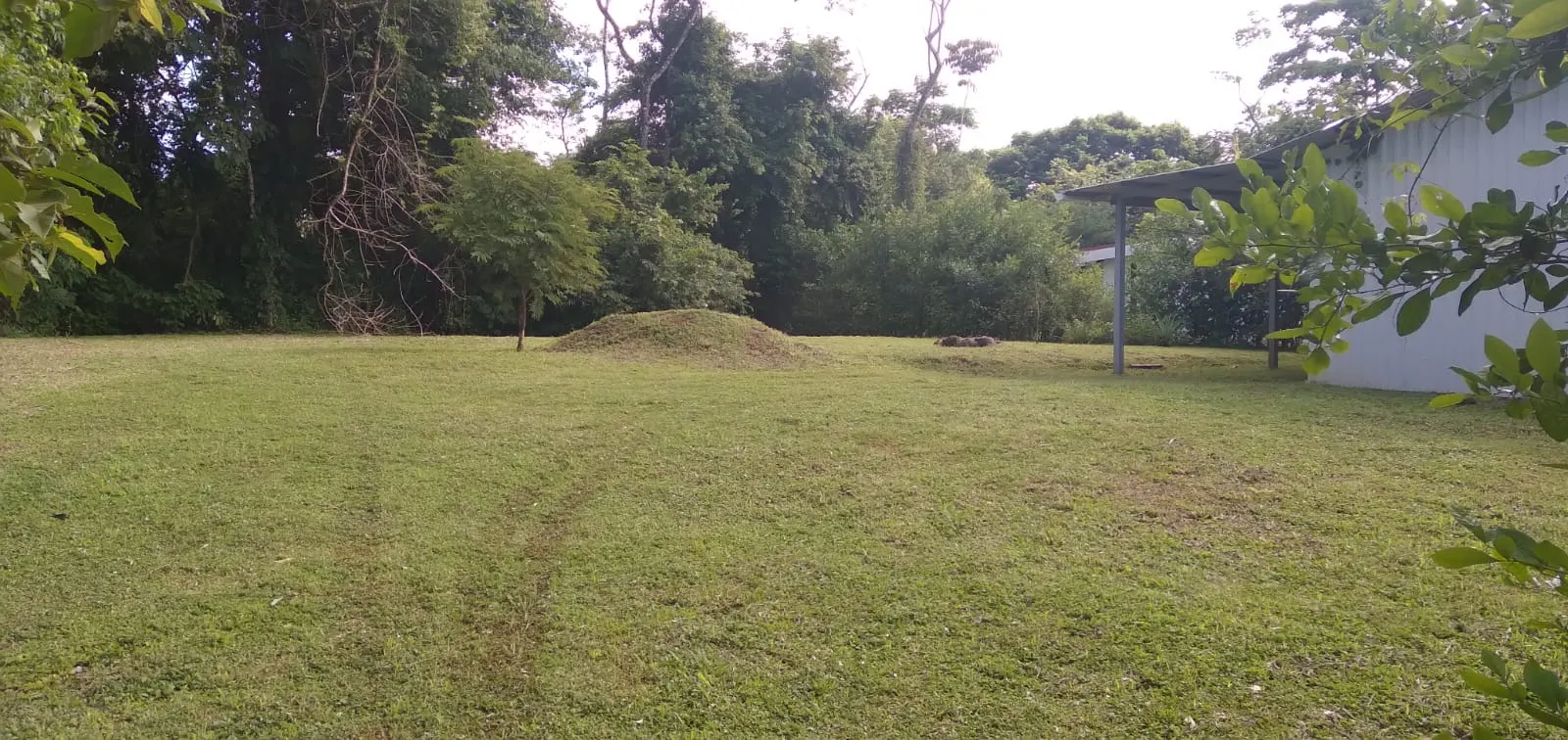 Flat 2,500 m2 Commercial Lot with River Access in Las Delicias photo 7