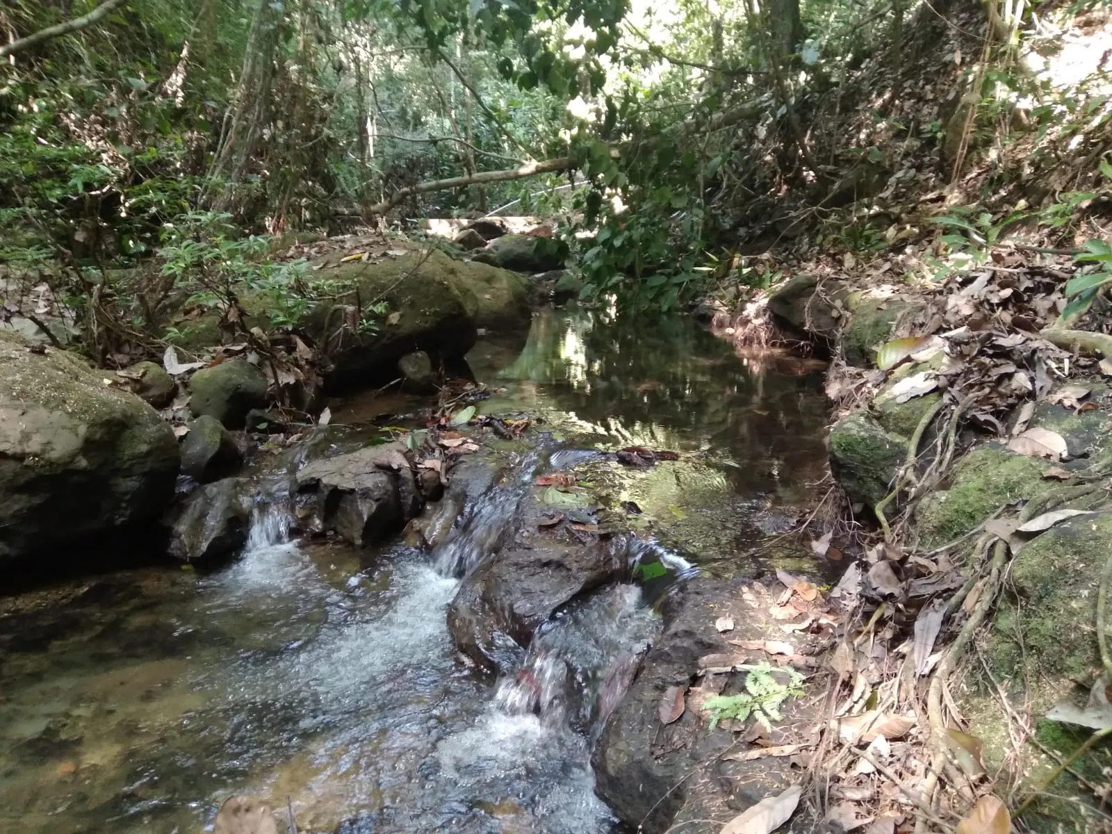 Flat 2,500 m2 Commercial Lot with River Access in Las Delicias photo 9