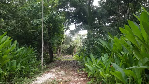 Flat Lot 150 m from Beach, Mal Pais in Mal Pais, Costa Rica