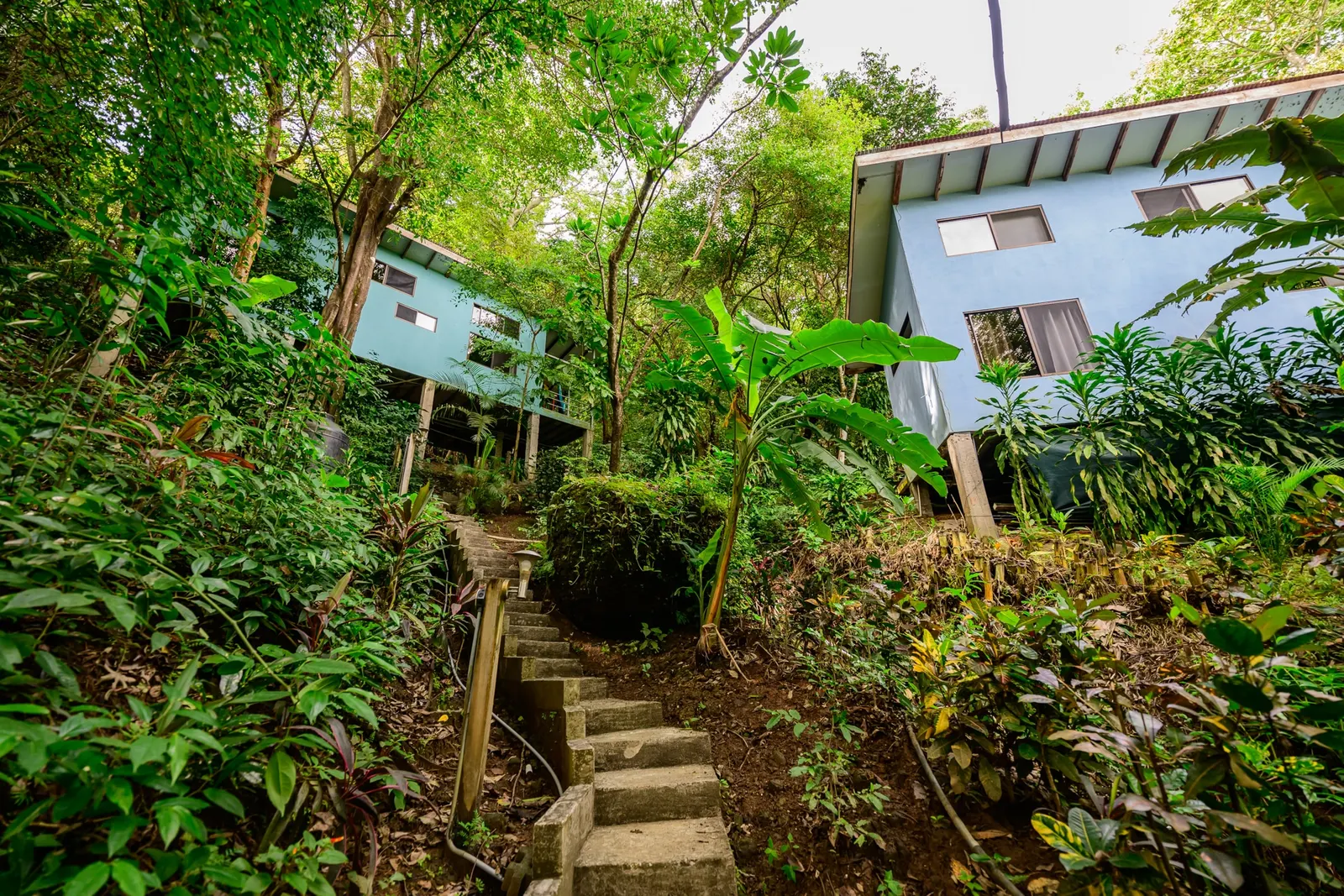 Jungle Lodge Montezuma: Established 15-Room Eco-Hospitality Business photo 5