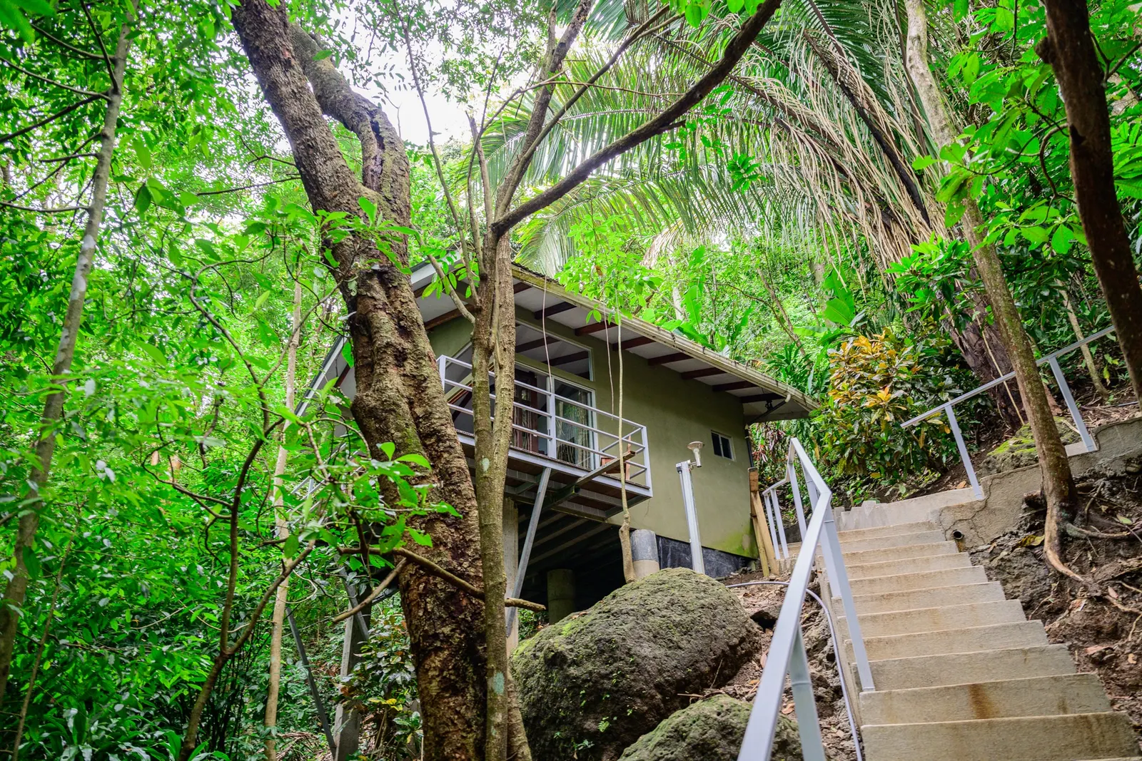 Jungle Lodge Montezuma: Established 15-Room Eco-Hospitality Business photo 6