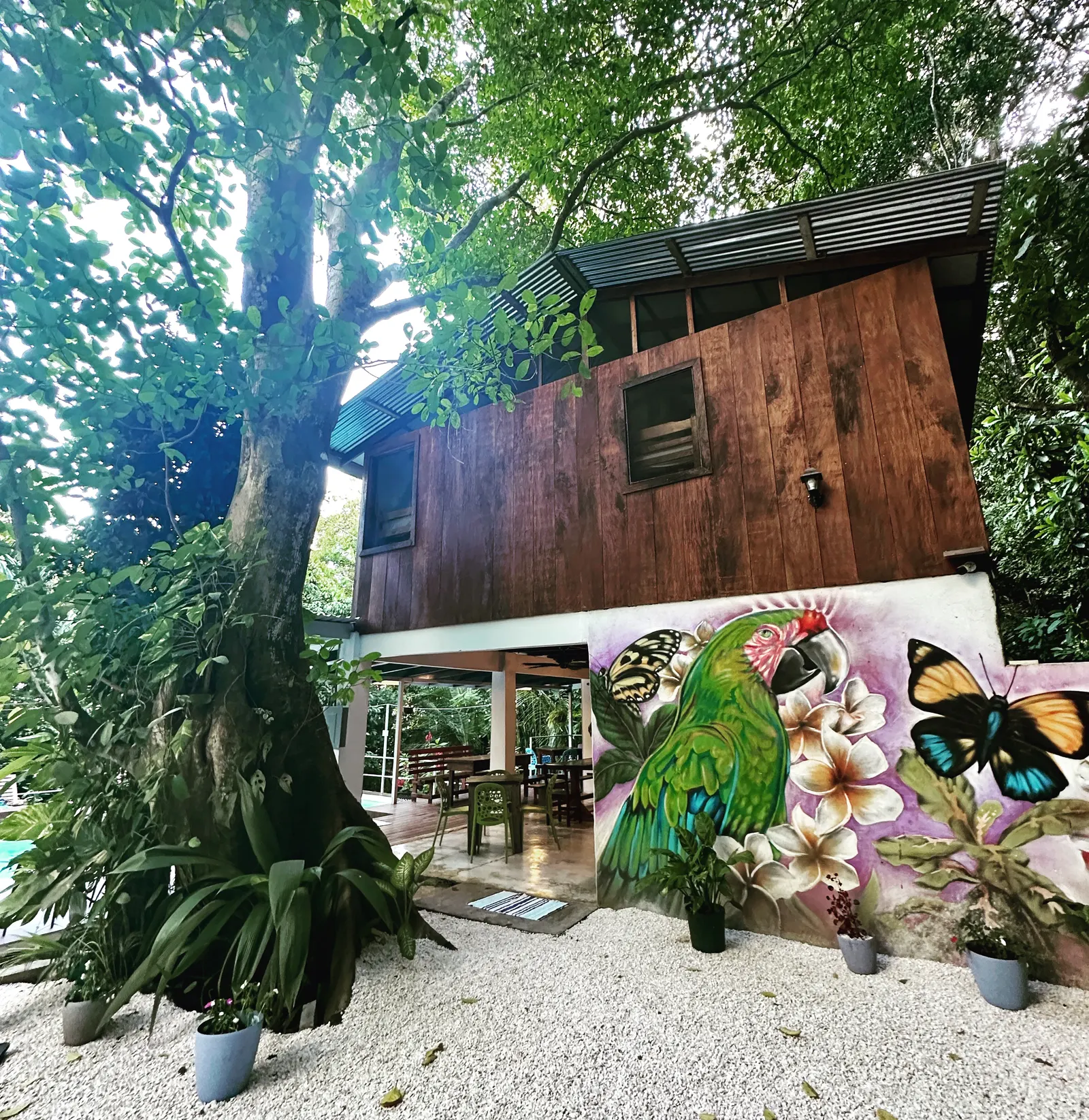 Jungle Lodge Montezuma: Established 15-Room Eco-Hospitality Business photo 8