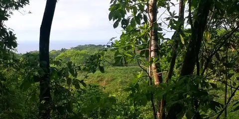 La Paz: 6.3-Acre Ocean-View Estate with Abundant Well Near Montezuma in Montezuma, Costa Rica