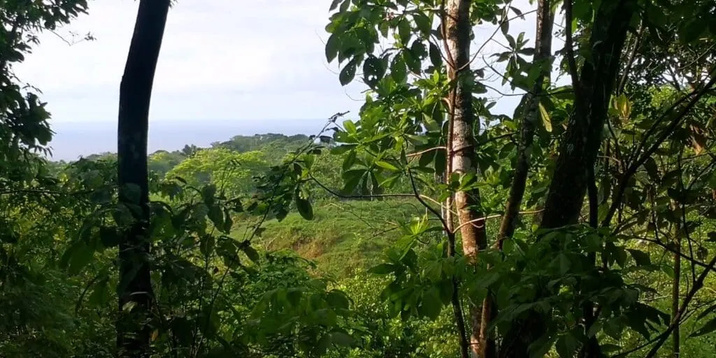 La Paz: 6.3-Acre Ocean-View Estate with Abundant Well Near Montezuma photo 1
