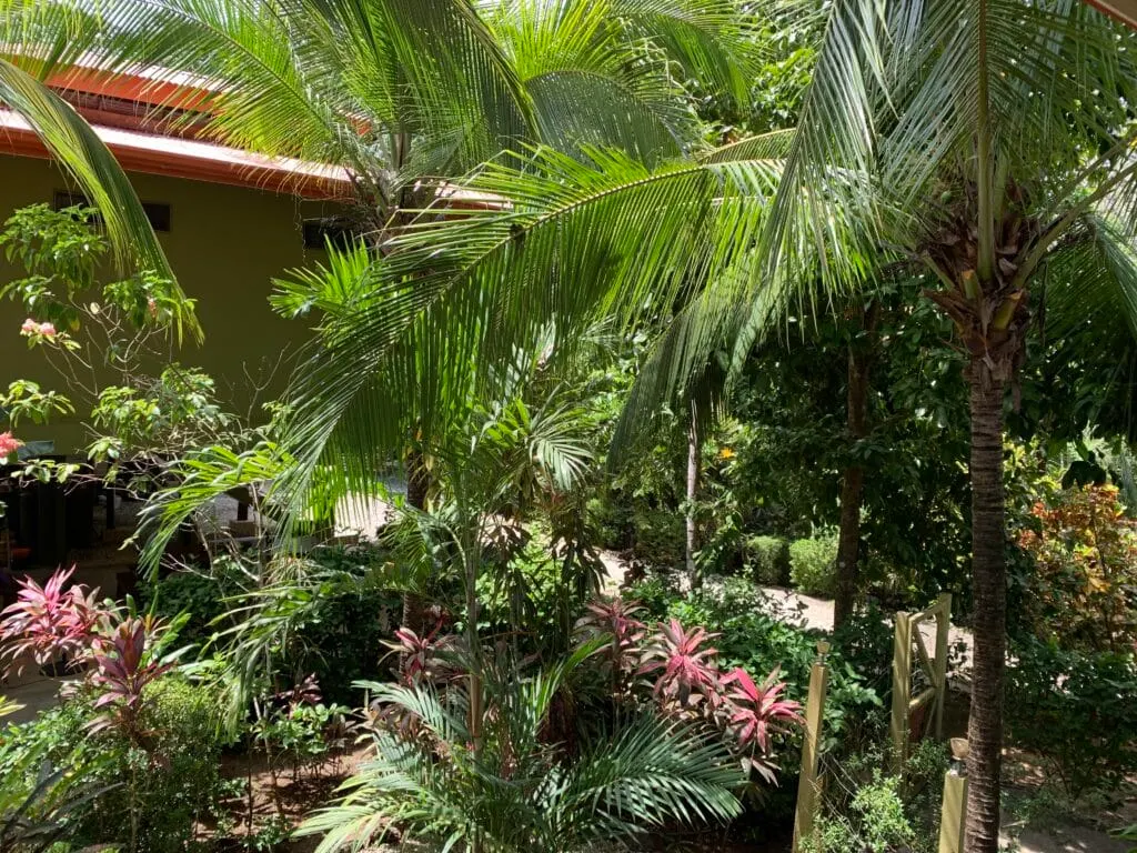 La Paz: 6.3-Acre Ocean-View Estate with Abundant Well Near Montezuma photo 10
