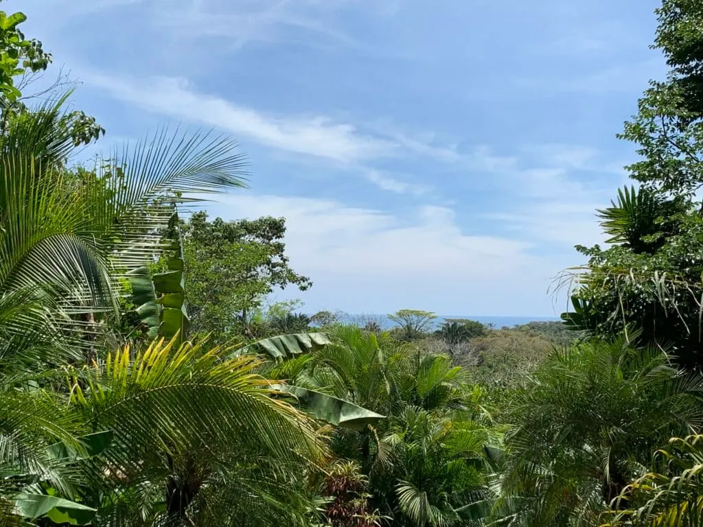 La Paz: 6.3-Acre Ocean-View Estate with Abundant Well Near Montezuma photo 2