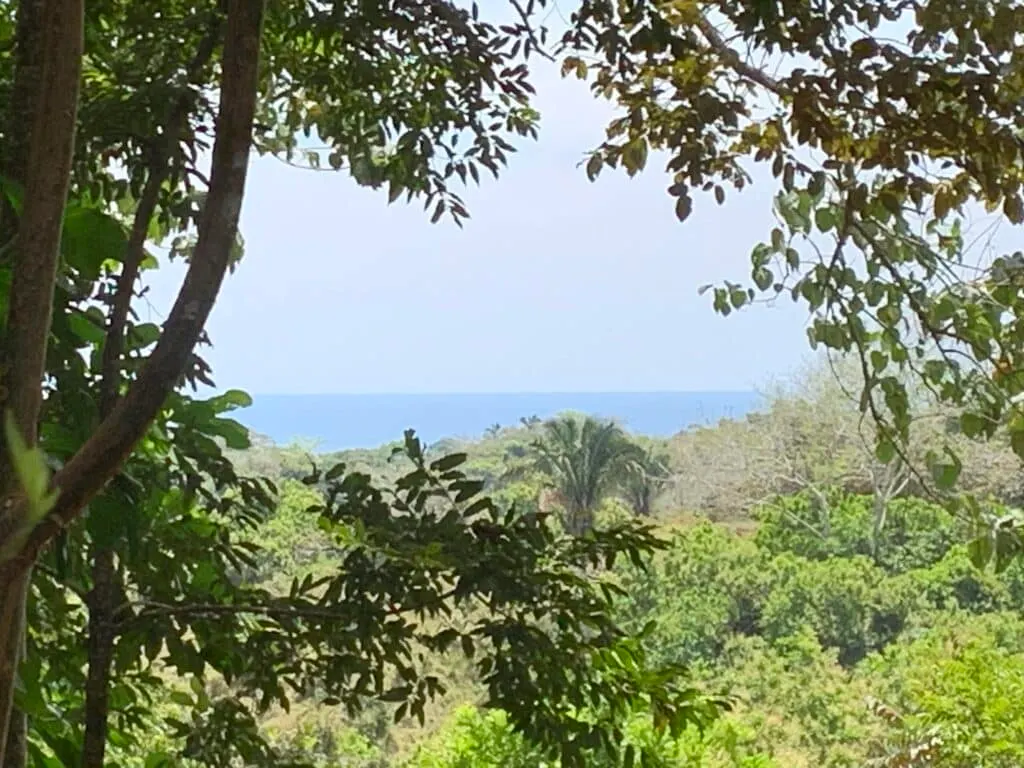 La Paz: 6.3-Acre Ocean-View Estate with Abundant Well Near Montezuma photo 3