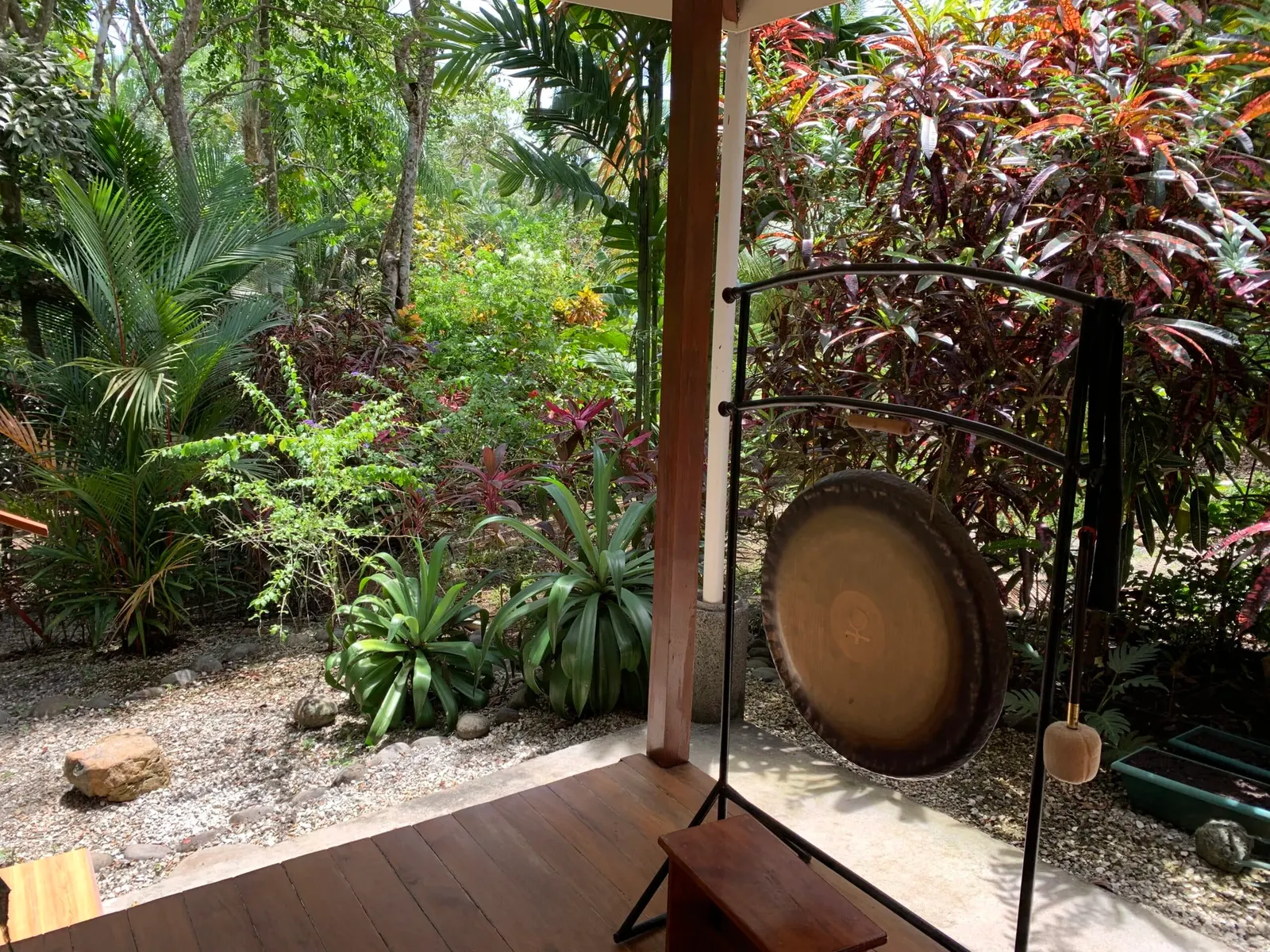La Paz: 6.3-Acre Ocean-View Estate with Abundant Well Near Montezuma photo 5