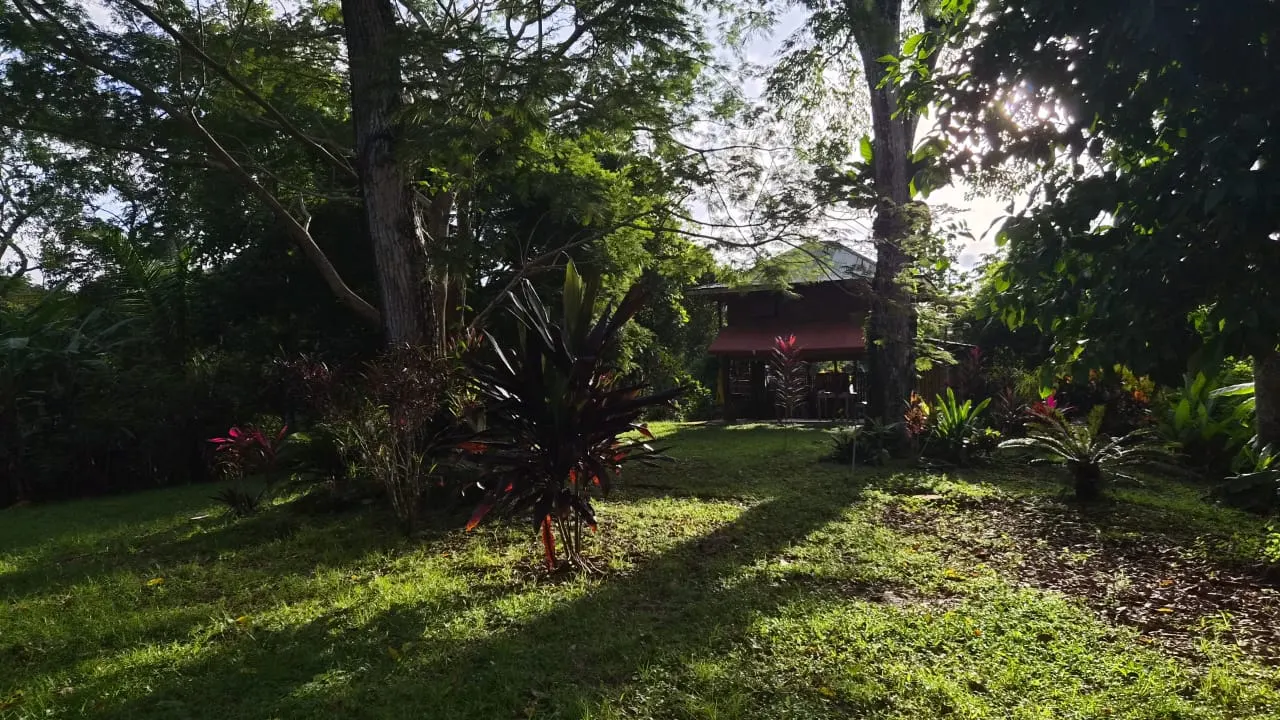 1.38-Acre Garden Home in Las Delicias photo 1