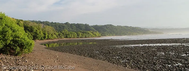 Flat 1,872 m2 Lot with 1BR Home, 500 m from the Ocean in Cabuya photo 12