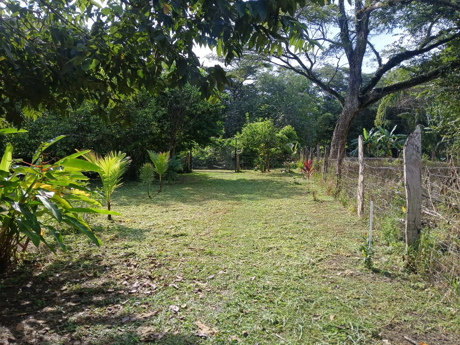 Flat 1,872 m2 Lot with 1BR Home, 500 m from the Ocean in Cabuya photo 3