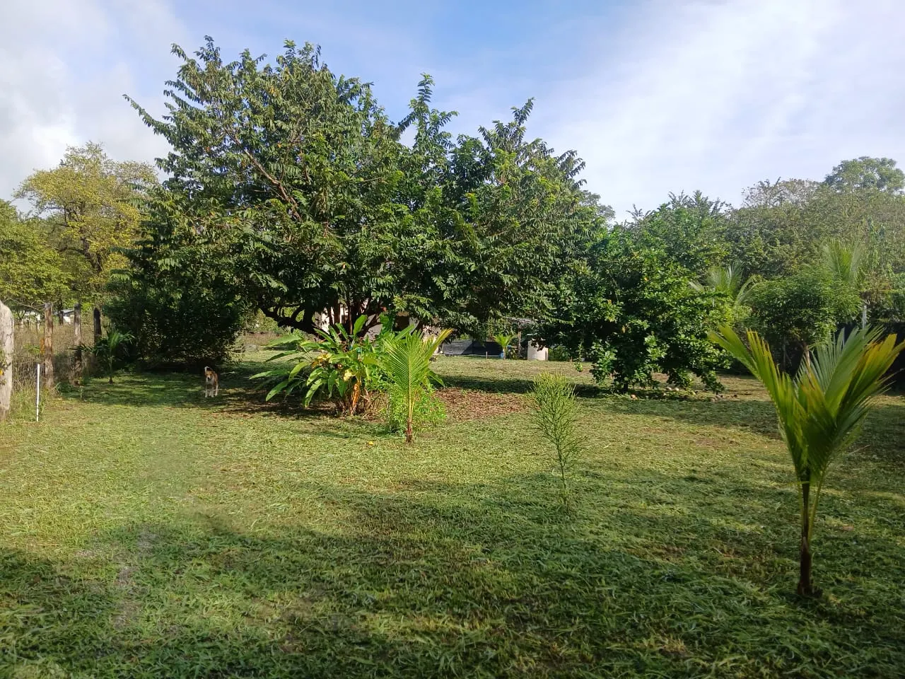 Flat 1,872 m2 Lot with 1BR Home, 500 m from the Ocean in Cabuya photo 4