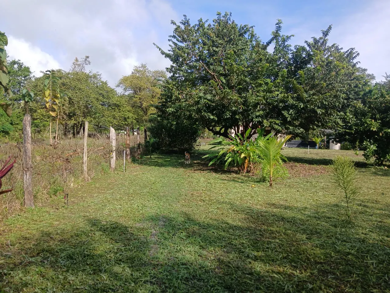 Flat 1,872 m2 Lot with 1BR Home, 500 m from the Ocean in Cabuya photo 5