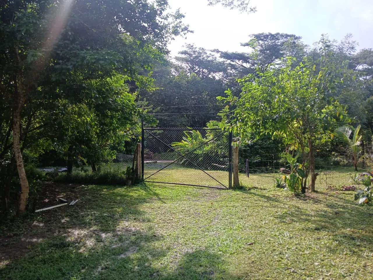 Flat 1,872 m2 Lot with 1BR Home, 500 m from the Ocean in Cabuya photo 6