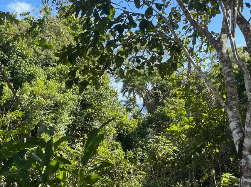 Mixed-Use Land with Partial Ocean Views in Delicias photo 11