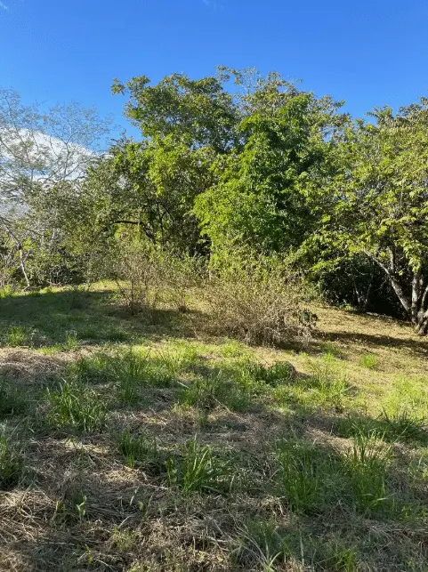 Mixed-Use Land with Partial Ocean Views in Delicias photo 12
