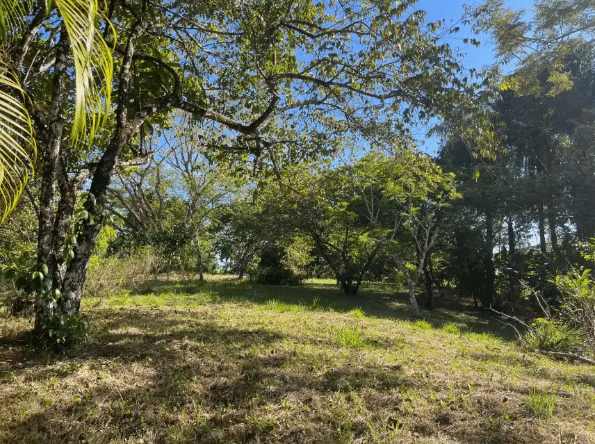 Mixed-Use Land with Partial Ocean Views in Delicias photo 2