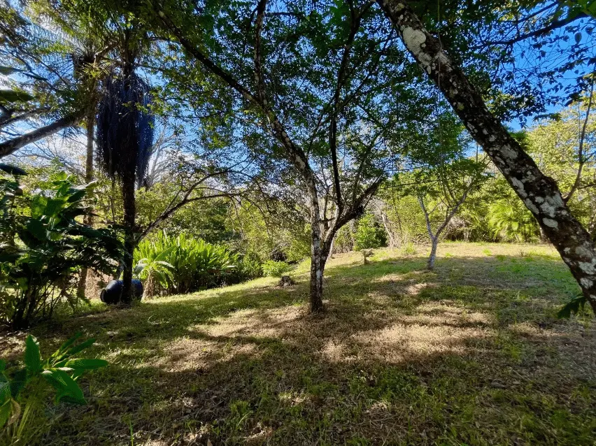 Mixed-Use Land with Partial Ocean Views in Delicias photo 3