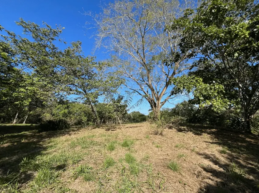Mixed-Use Land with Partial Ocean Views in Delicias photo 6