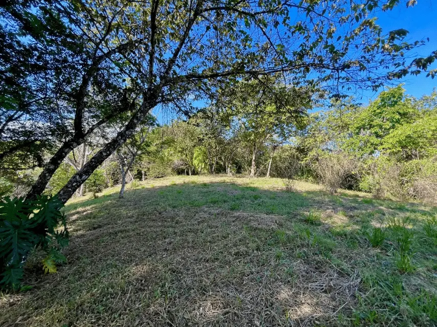 Mixed-Use Land with Partial Ocean Views in Delicias photo 7
