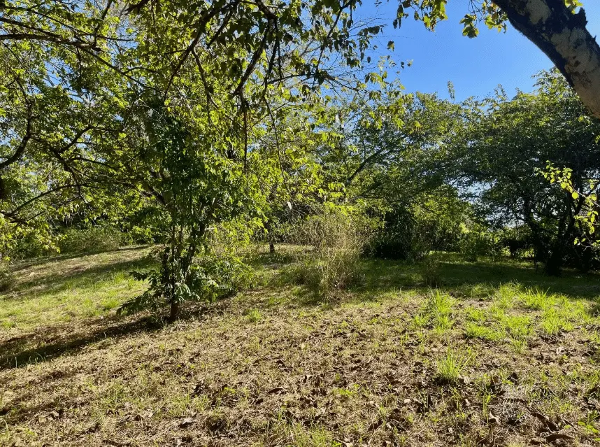 Mixed-Use Land with Partial Ocean Views in Delicias photo 8