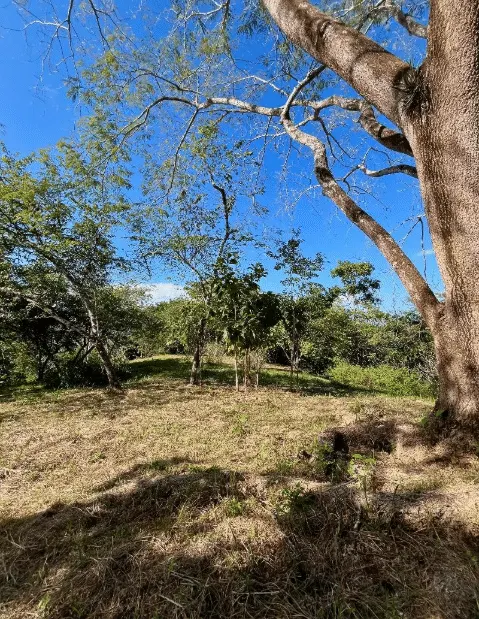 Mixed-Use Land with Partial Ocean Views in Delicias photo 9