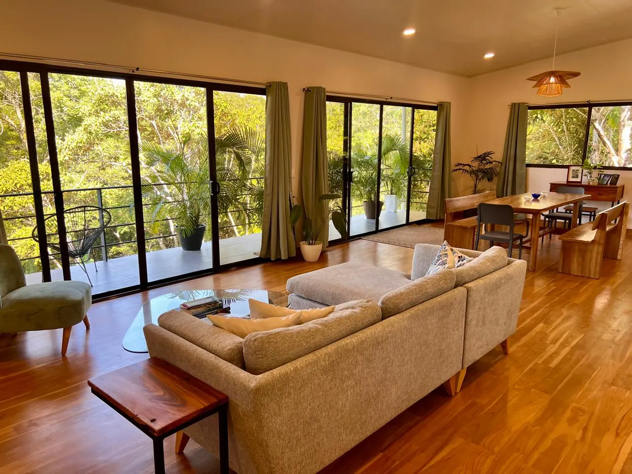 Montezuma River Estate with Guest House photo 1