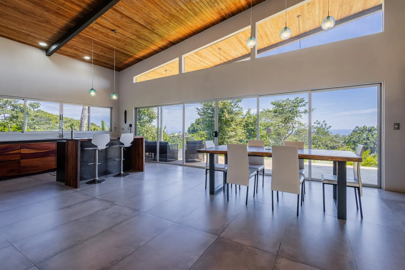 New Ocean-View Home with Rental Apartment Above Montezuma photo 2