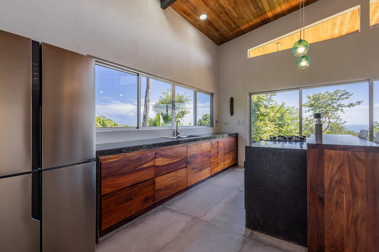 New Ocean-View Home with Rental Apartment Above Montezuma photo 6