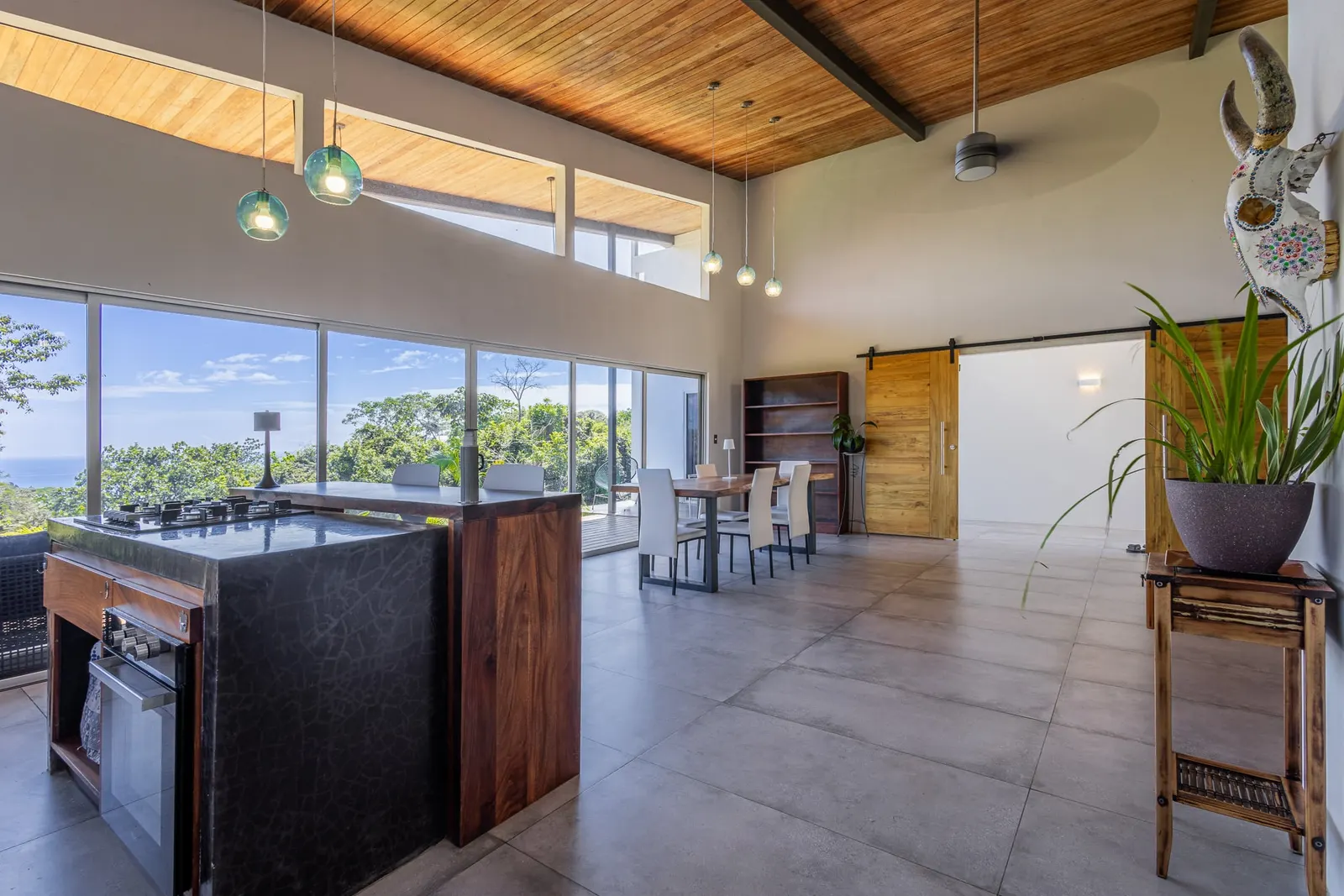 New Ocean-View Home with Rental Apartment Above Montezuma photo 7